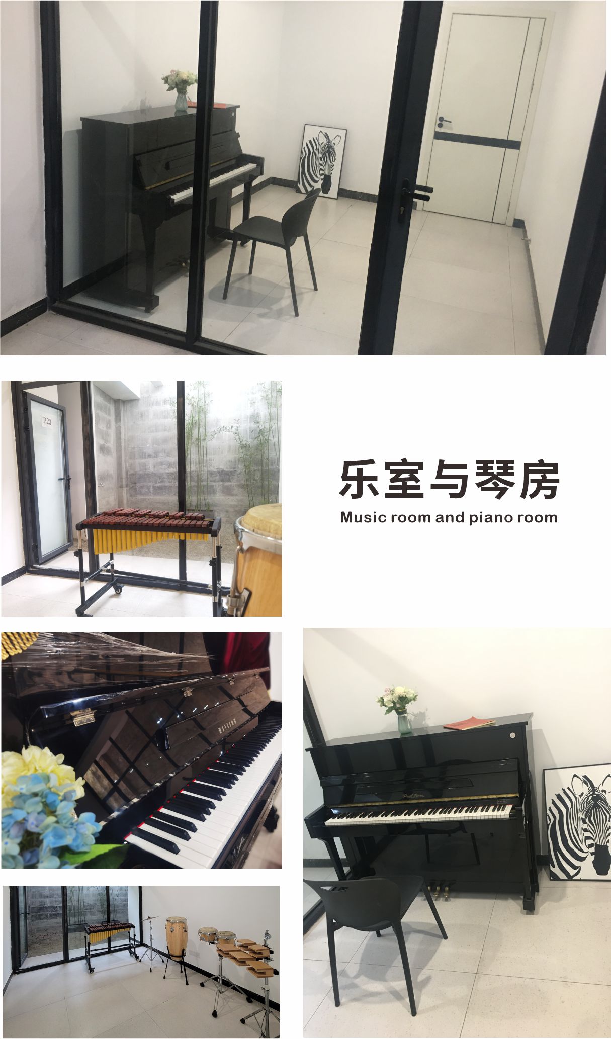 照片图.jpg